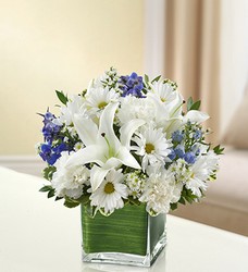 Healing Tears - Blue and White Davenport Florist - Same Day Flower Delivery - Flower Power 